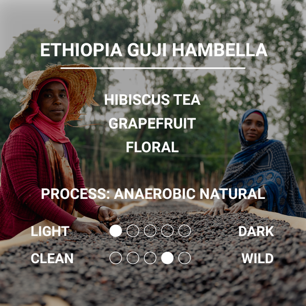 ETHIOPIA GUJI HAMBELLA - SP