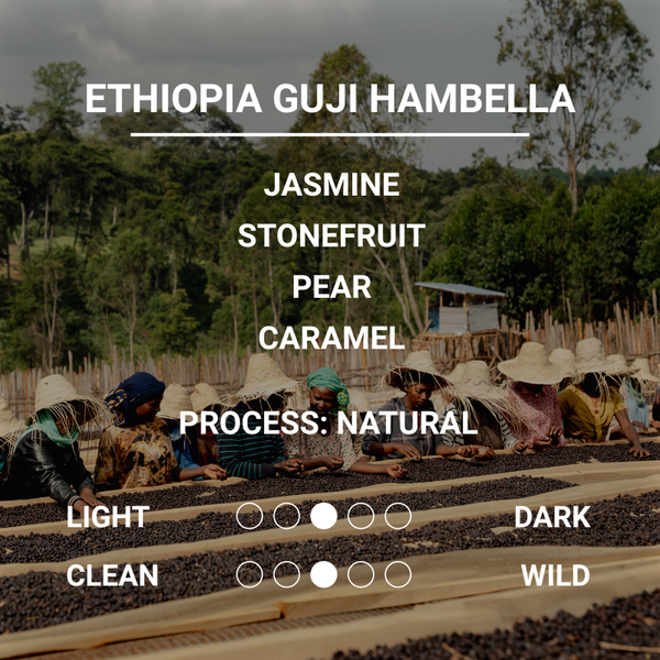 ETHIOPIA GUJI HAMBELLA