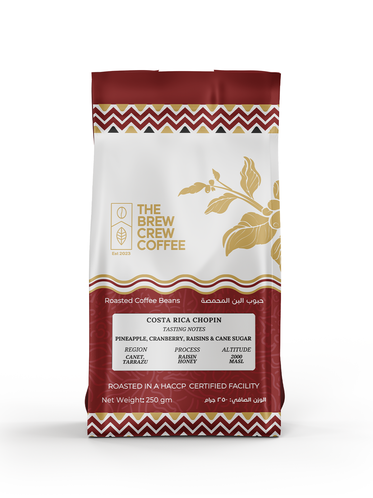 COSTA RICA CHOPIN - FILTER