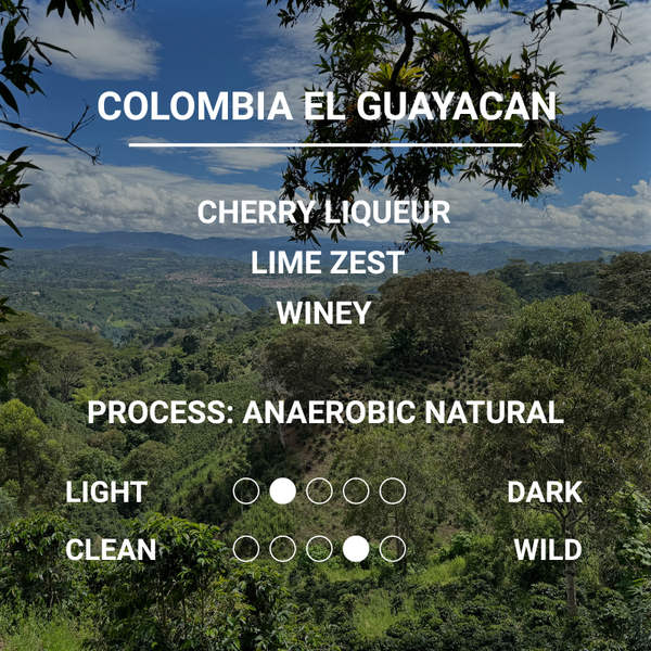 COLOMBIA EL GUAYACAN