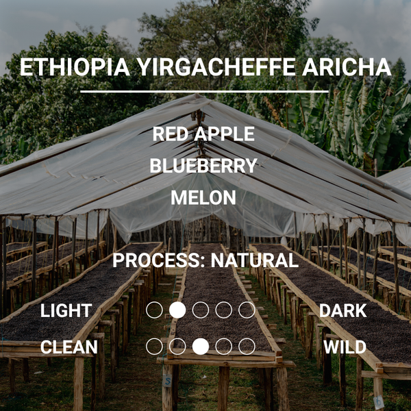 ETHIOPIA YIRGACHEFFE ARICHA
