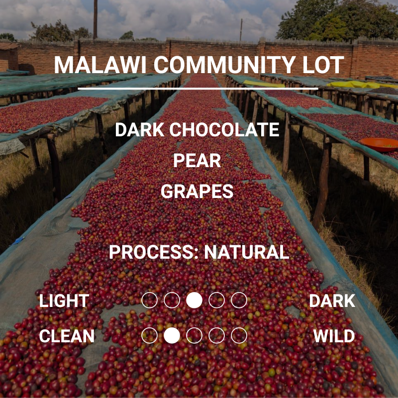 MALAWI COMMUNITY LOT