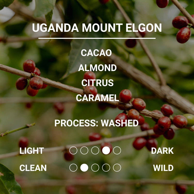 UGANDA MT ELGON