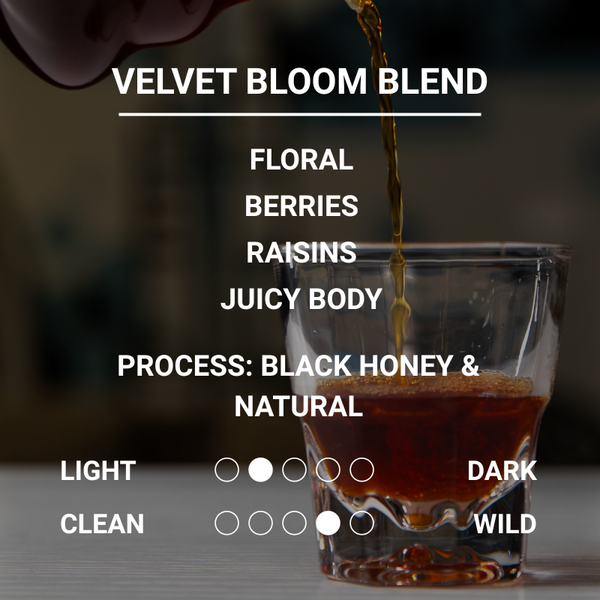VELVET BLOOM BLEND