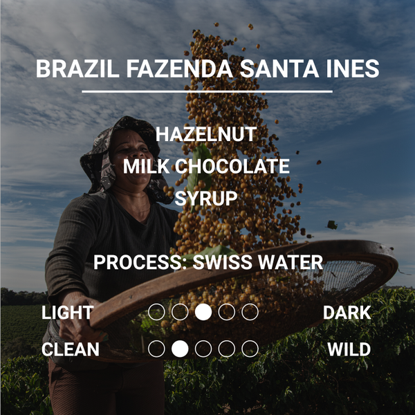 BRAZIL FAZENDA SANTA INES