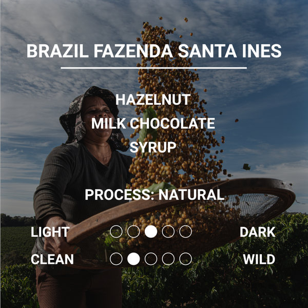 BRAZIL FAZENDA SANTA INES